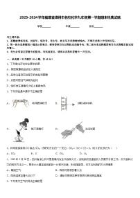 2023-2024学年福建省漳州市名校化学九年级第一学期期末经典试题含答案