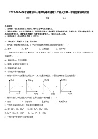 2023-2024学年福建省师大平潭附中教研片九年级化学第一学期期末调研试题含答案