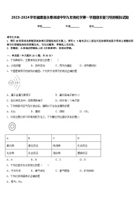 2023-2024学年福建省永春汤城中学九年级化学第一学期期末复习检测模拟试题含答案