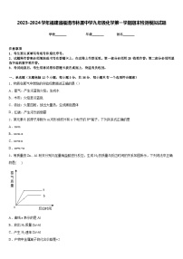 2023-2024学年福建省福清市林厝中学九年级化学第一学期期末检测模拟试题含答案