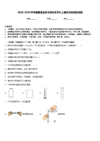 2023-2024学年福建省龙岩市名校化学九上期末达标测试试题含答案