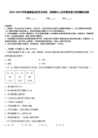 2023-2024学年福建省龙岩市永定区、连城县九上化学期末复习检测模拟试题含答案