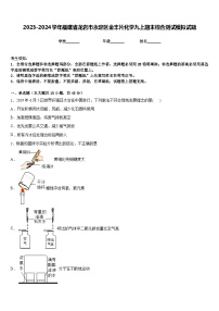 2023-2024学年福建省龙岩市永定区金丰片化学九上期末综合测试模拟试题含答案