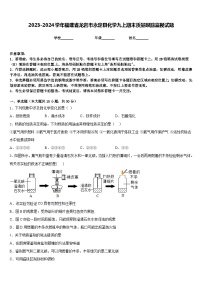 2023-2024学年福建省龙岩市永定县化学九上期末质量跟踪监视试题含答案