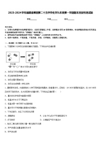 2023-2024学年福建省莆田第二十五中学化学九年级第一学期期末质量检测试题含答案