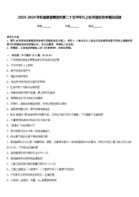 2023-2024学年福建省莆田市第二十五中学九上化学期末统考模拟试题含答案