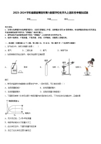 2023-2024学年福建省莆田市第六联盟学校化学九上期末统考模拟试题含答案