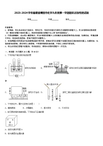 2023-2024学年福建省莆田市化学九年级第一学期期末达标检测试题含答案