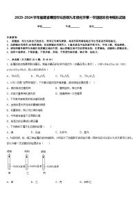 2023-2024学年福建省莆田市仙游县九年级化学第一学期期末统考模拟试题含答案