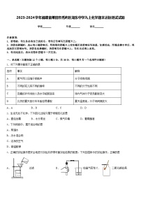 2023-2024学年福建省莆田市秀屿区湖东中学九上化学期末达标测试试题含答案