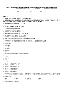 2023-2024学年福建省莆田市哲理中学九年级化学第一学期期末监测模拟试题含答案