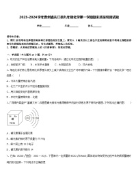 2023-2024学年贵州省从江县九年级化学第一学期期末质量检测试题含答案