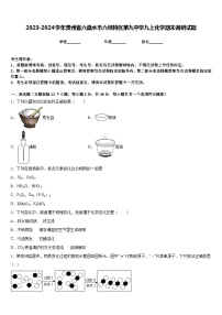 2023-2024学年贵州省六盘水市六枝特区第九中学九上化学期末调研试题含答案