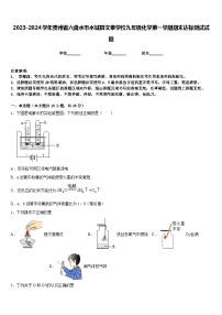 2023-2024学年贵州省六盘水市水城县文泰学校九年级化学第一学期期末达标测试试题含答案