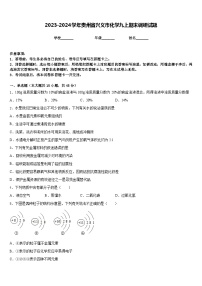 2023-2024学年贵州省兴义市化学九上期末调研试题含答案