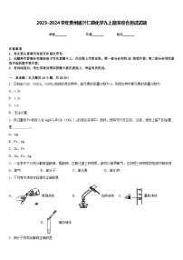 2023-2024学年贵州省兴仁县化学九上期末综合测试试题含答案