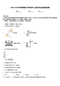 2023-2024学年贵州省仁怀市化学九上期末学业质量监测试题含答案