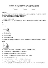 2023-2024学年衡水市滏阳中学化学九上期末经典模拟试题含答案