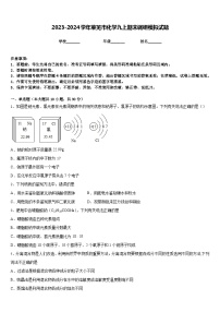 2023-2024学年莱芜市化学九上期末调研模拟试题含答案