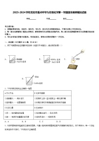 2023-2024学年茂名市重点中学九年级化学第一学期期末调研模拟试题含答案