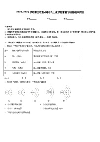 2023-2024学年莆田市重点中学九上化学期末复习检测模拟试题含答案