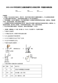 2023-2024学年苏州市工业园区斜塘学校九年级化学第一学期期末调研试题含答案