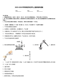 2023-2024学年莱芜市化学九上期末联考试题含答案