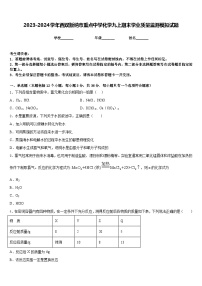 2023-2024学年西双版纳市重点中学化学九上期末学业质量监测模拟试题含答案