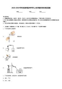 2023-2024学年芜湖市重点中学九上化学期末综合测试试题含答案