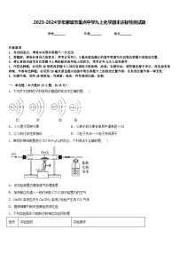 2023-2024学年聊城市重点中学九上化学期末达标检测试题含答案