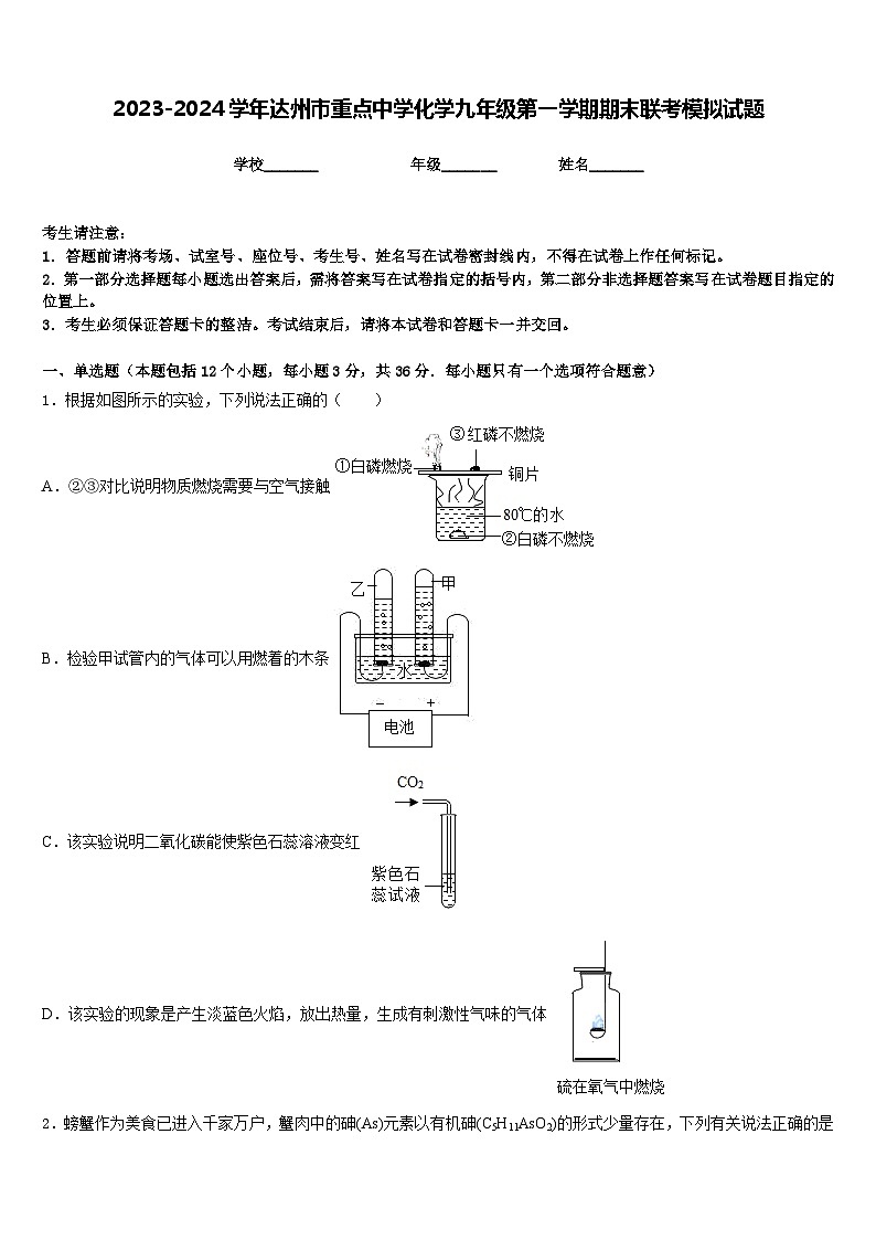 2023-2024学年达州市重点中学化学九年级第一学期期末联考模拟试题含答案01