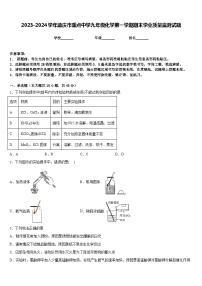 2023-2024学年迪庆市重点中学九年级化学第一学期期末学业质量监测试题含答案