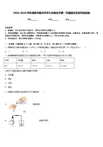 2023-2024学年酒泉市重点中学九年级化学第一学期期末质量检测试题含答案