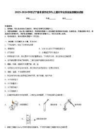 2023-2024学年辽宁省本溪市化学九上期末学业质量监测模拟试题含答案