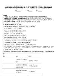 2023-2024学年辽宁省朝阳市第一中学九年级化学第一学期期末检测模拟试题含答案