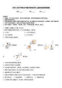 2023-2024学年辽宁省灯塔市化学九上期末达标检测试题含答案