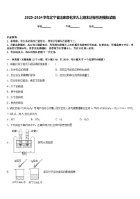 2023-2024学年辽宁省法库县化学九上期末达标检测模拟试题含答案