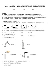 2023-2024学年辽宁省抚顺市新抚区化学九年级第一学期期末达标检测试题含答案