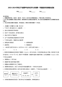 2023-2024学年辽宁省葫芦岛市化学九年级第一学期期末检测模拟试题含答案