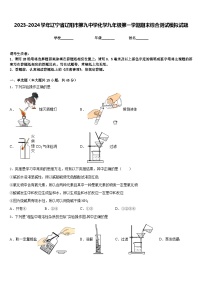 2023-2024学年辽宁省辽阳市第九中学化学九年级第一学期期末综合测试模拟试题含答案