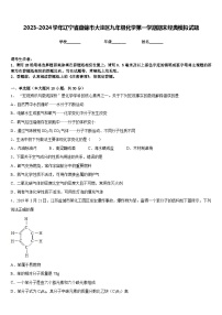 2023-2024学年辽宁省盘锦市大洼区九年级化学第一学期期末经典模拟试题含答案