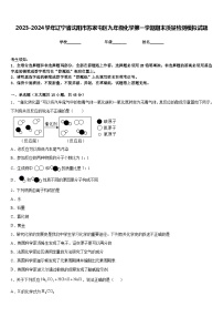 2023-2024学年辽宁省沈阳市苏家屯区九年级化学第一学期期末质量检测模拟试题含答案