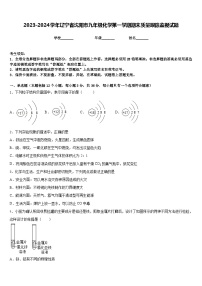 2023-2024学年辽宁省沈阳市九年级化学第一学期期末质量跟踪监视试题含答案