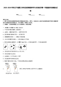 2023-2024学年辽宁省营口市老边区柳树镇中学九年级化学第一学期期末检测模拟试题含答案