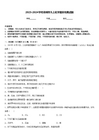 2023-2024学年郑州市九上化学期末经典试题含答案