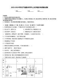 2023-2024学年辽宁省重点中学九上化学期末考试模拟试题含答案