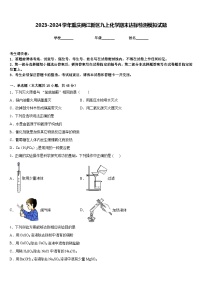 2023-2024学年重庆两江新区九上化学期末达标检测模拟试题含答案