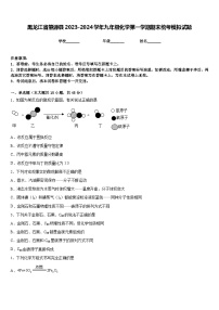 黑龙江省肇源县2023-2024学年九年级化学第一学期期末统考模拟试题含答案