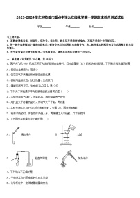 2023-2024学年阿拉善市重点中学九年级化学第一学期期末综合测试试题含答案