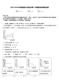 2023-2024学年陕西省九年级化学第一学期期末联考模拟试题含答案